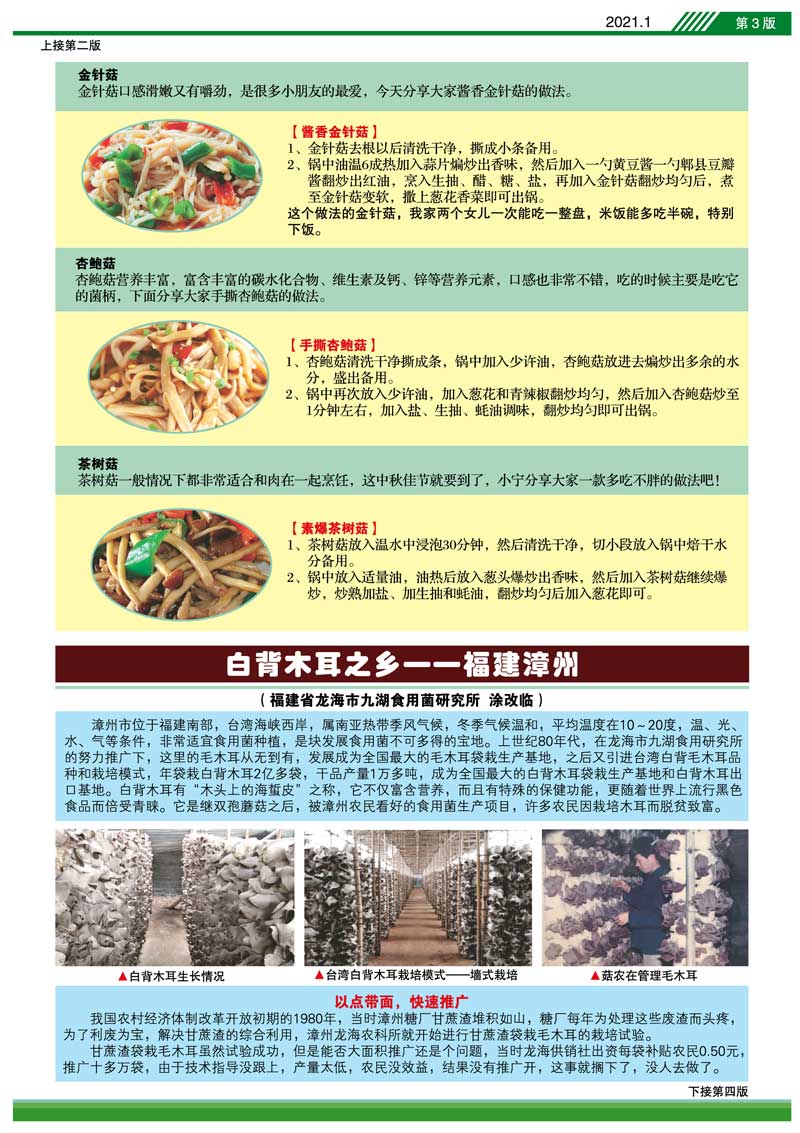 食用菌招聘_食用菌信息月刊 2021年3月第3期总第429期