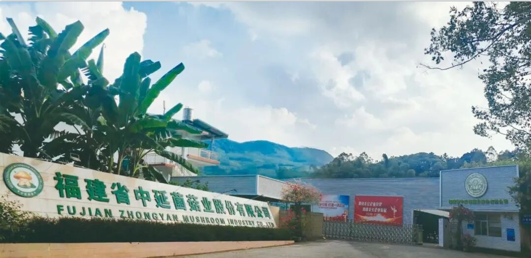 22b6e64c53369dc62d830cbb630fd23d.png 22b6e64c53369dc62d830cbb630fd23d.png