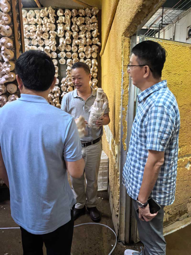 微信图片_20260531224716_698_2299.jpg